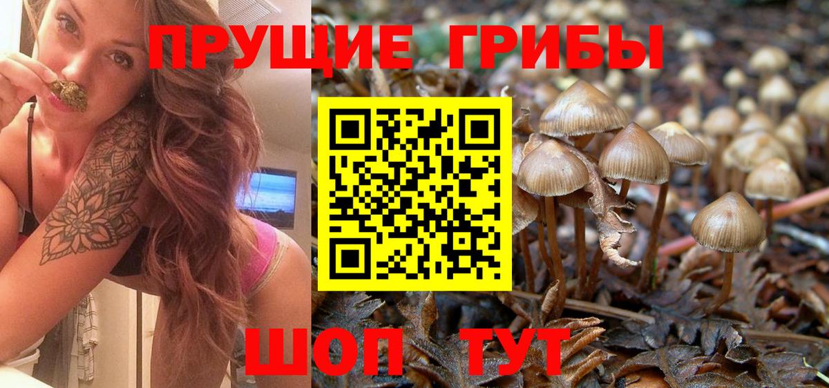 Похвистнево  Псилоцибиновые грибы GOLDEN TEACHER  Галлюциногенные грибы GOLDEN TEACHER  Вход с VPN 